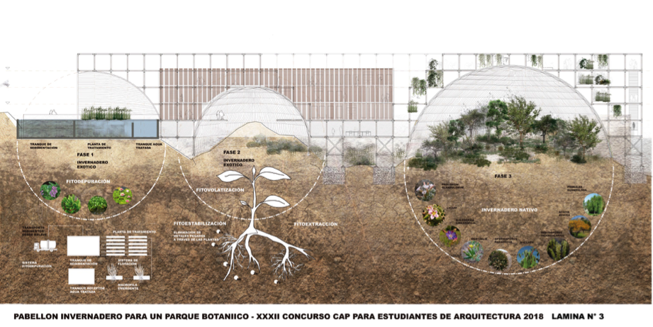 Imagen foto_00000015