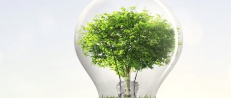 Desde 2021 el 100% de la energía eléctrica que utiliza CAP Acero es renovable