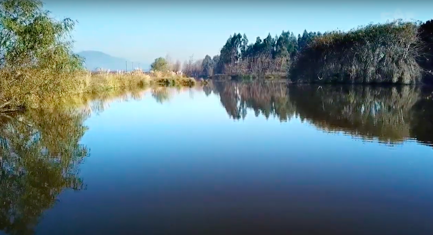 Imagen foto_00000043